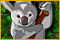 Animal Color Cross