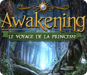 Big Fish FR awakening le voyage de la princesse awakening le voyage de la princesse 