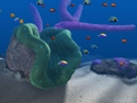 Big Kahuna Reef