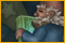 Hodgepodge Hollow: A Potions Primer