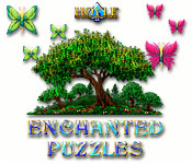 Big Fish FR hoyle enchanted puzzles hoyle enchanted puzzles 