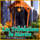 Les Tribulations de Martin