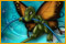 The Clumsys 2: L'Effet Papillon