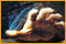 The Secrets of Da Vinci: Le Manuscrit Interdit