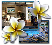 Vacation Quest: The Hawaiian Islands