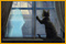 Dark Tales: Il gatto nero di Edgar Allan Poe