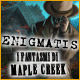 Enigmatis: I fantasmi di Maple Creek 