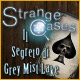 Strange Cases: Il segreto di Grey Mist Lake