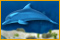 Dolphins Dice Slots