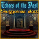 Echoes of the Past: Skuggornas slott